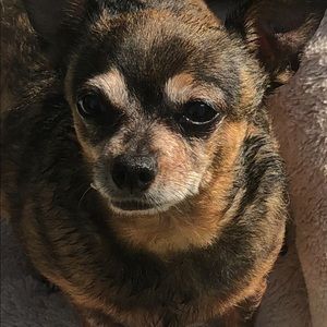 Meet your Posher, Deb